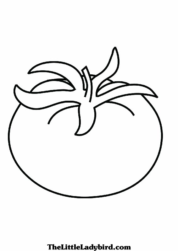 Tạo hình: Tô màu quả cà chua